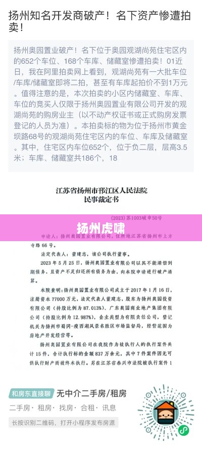 扬州虎啸是否涉及非法融资探讨-图1