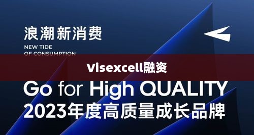 Visexcell融资,引领企业走向资本巅峰的力量-图1 Visexcell融资,引领企业走向资本巅峰的力量-图1