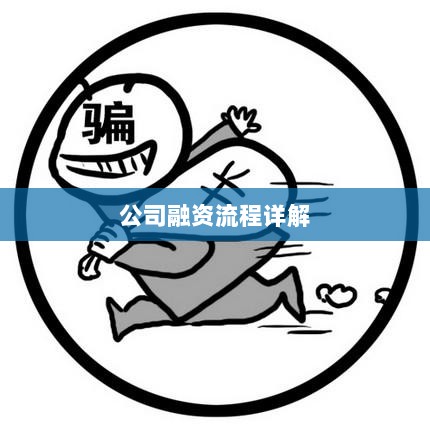 公司融资流程详解-图1 公司融资流程详解-图1