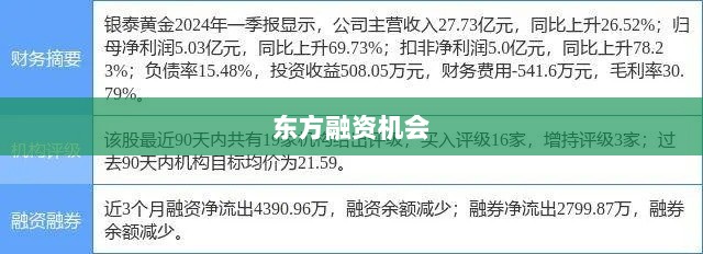银泰黄金与东方融资，投资机会深度解析-图1