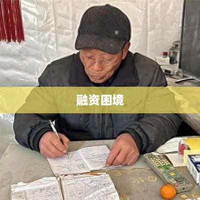融资紧张，企业资金筹措面临的压力与困境-图1