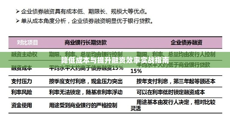 跨国融资策略，降低成本与提升融资效率的实战指南-图1