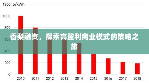 香梨融资，探索高盈利商业模式的策略之旅-图1