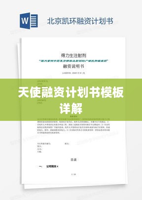 天使融资计划书模板详解-图1 天使融资计划书模板详解-图1