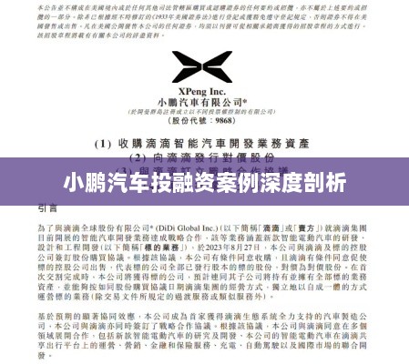 小鹏汽车投融资案例深度剖析-图1 小鹏汽车投融资案例深度剖析-图1
