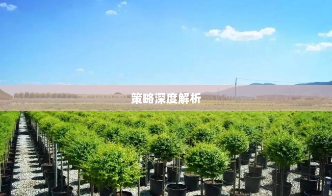 苗木基地融资策略深度解析-图1