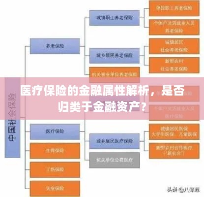 医疗保险的金融属性解析,是否归类于金融资产?-图1 医疗保险的金融属性解析,是否归类于金融资产?-图1
