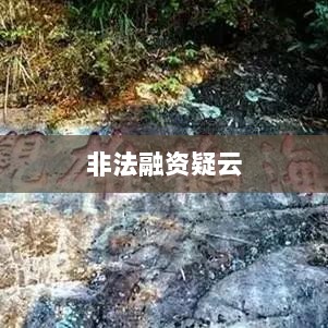 扬州虎啸涉非法融资疑云,深度解析与探讨-图1 扬州虎啸涉非法融资疑云,深度解析与探讨-图1