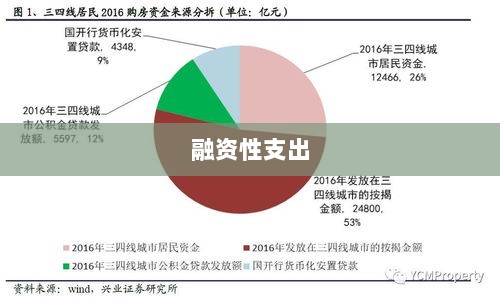融资性支出的深度解析，概念、重要性及实际应用探讨-图1