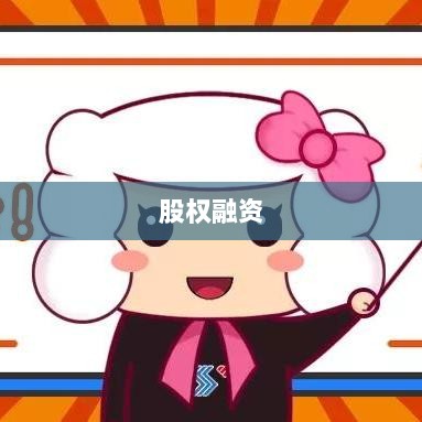股权与债务融资详解，融资方式的全面剖析-图1