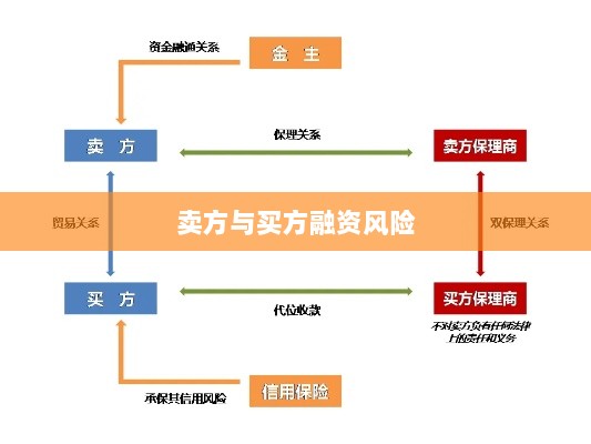 卖方与买方融资风险解析及应对策略探讨-图1