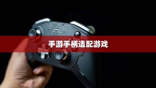 手游手柄适配游戏及更佳体验盘点-图1 手游手柄适配游戏及更佳体验盘点-图1