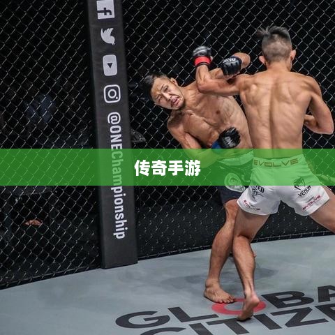 传奇手游，职业相克之道揭秘-图1