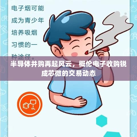半导体并购再起风云，概伦电子收购锐成芯微的交易动态-图1