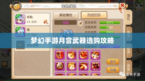 梦幻手游月宫武器选购攻略-图1