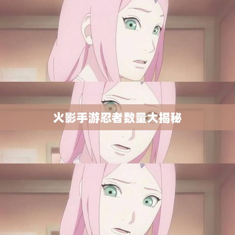 火影手游忍者数量大揭秘-图1 火影手游忍者数量大揭秘-图1