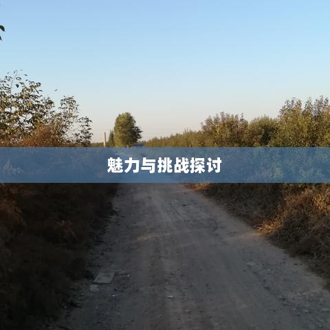 无尽神谕手游深度解析，魅力与挑战的探讨-图1
