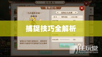 问道手游宠物捕捉攻略，轻松掌握捕捉技巧全解析-图1