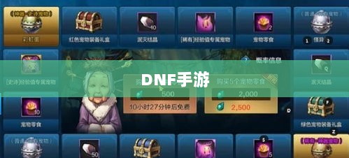DNF手游,是否可以代练的探讨与解析-图1 DNF手游,是否可以代练的探讨与解析-图1