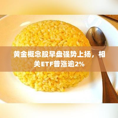 黄金概念股早盘强势上扬,相关ETF普涨逾2%-图1 黄金概念股早盘强势上扬,相关ETF普涨逾2%-图1