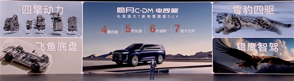 奇瑞豪华插混SUV星途揽月C-DM上市，四驱标配，价格20.99万起-图12
