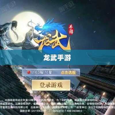 深度解析,龙武手游的成功存活之道-图1 深度解析,龙武手游的成功存活之道-图1