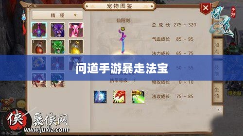 问道手游暴走法宝指南，最佳法宝搭配选择攻略-图1
