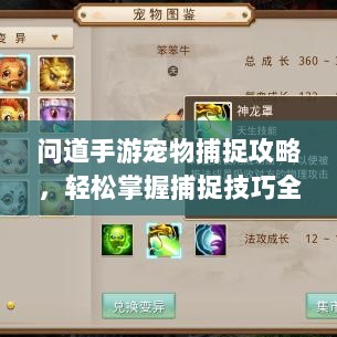 问道手游宠物捕捉攻略，轻松掌握捕捉技巧全解析-图1