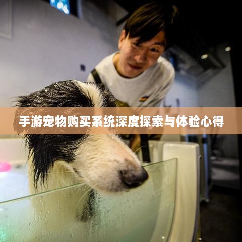 手游宠物购买系统深度探索与体验心得-图1