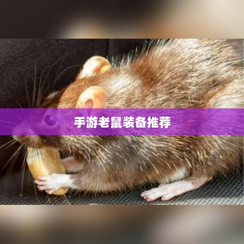 手游老鼠最强装备推荐攻略-图1