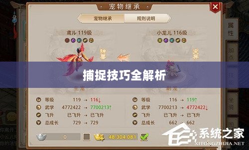 问道手游宠物捕捉攻略，轻松掌握捕捉技巧全解析-图1