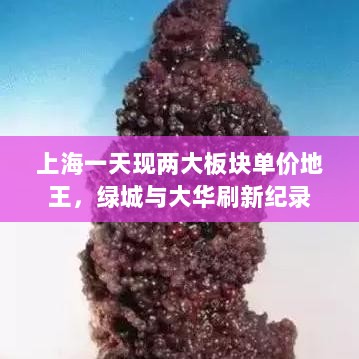 上海一天现两大板块单价地王，绿城与大华刷新纪录-图1