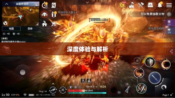 黑色沙漠手游，深度体验与全面解析-图1