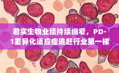 君实生物业绩持续缩窄,PD-1差异化适应症追赶行业第一梯队-图1 君实生物业绩持续缩窄,PD-1差异化适应症追赶行业第一梯队-图1