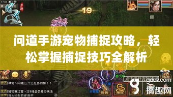 问道手游宠物捕捉攻略，轻松掌握捕捉技巧全解析-图1