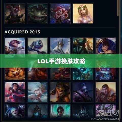 LOL手游换肤攻略，最佳换肤工具选择指南-图1