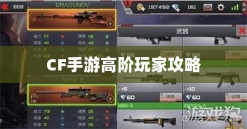 CF手游高阶玩家深度解析攻略-图1
