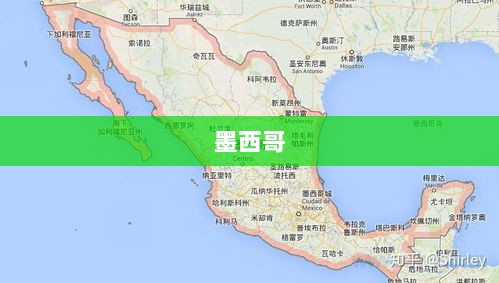 赣锋锂业年度亏损揭秘，2024年营收骤降超四成，上市以来首次面临年度亏损-图1