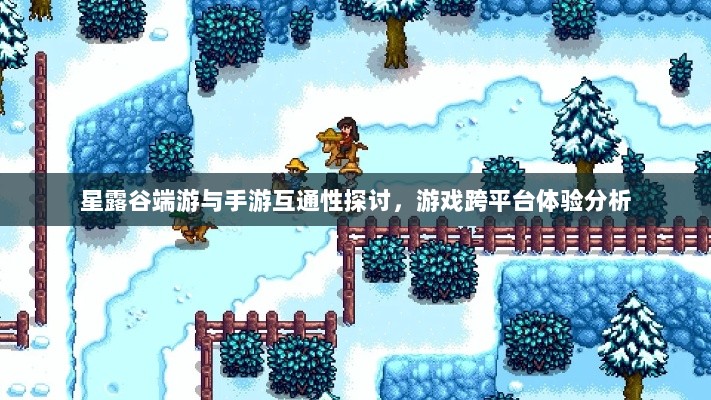 星露谷端游与手游互通性探讨，游戏跨平台体验分析-图1