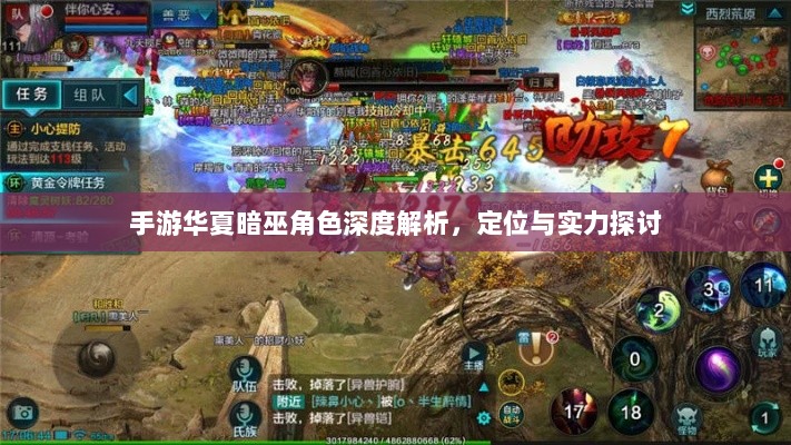 手游华夏暗巫角色深度解析，定位与实力探讨-图1