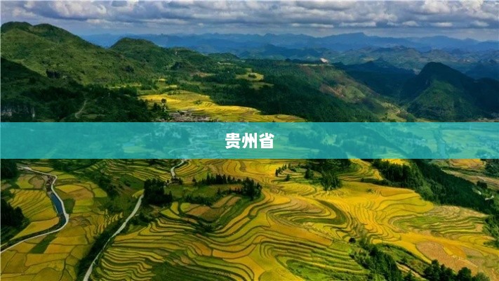 女厅官落马后续影响,下属官员相继被查-图1 女厅官落马后续影响,下属官员相继被查-图1