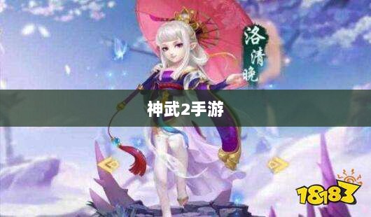 神武2手游反制策略全面解析与深度探讨-图1 神武2手游反制策略全面解析与深度探讨-图1