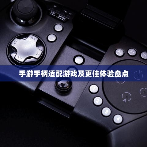 手游手柄适配游戏及更佳体验盘点-图1 手游手柄适配游戏及更佳体验盘点-图1