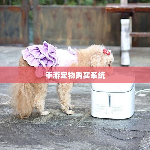 手游宠物购买系统，开启游戏新乐趣的维度-图1