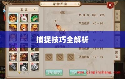 问道手游宠物捕捉攻略，轻松掌握捕捉技巧全解析-图1
