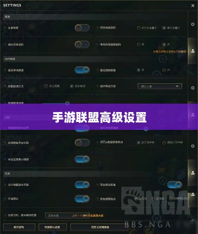 手游联盟高级设置深度解析,探索高级功能的独特魅力-图1 手游联盟高级设置深度解析,探索高级功能的独特魅力-图1