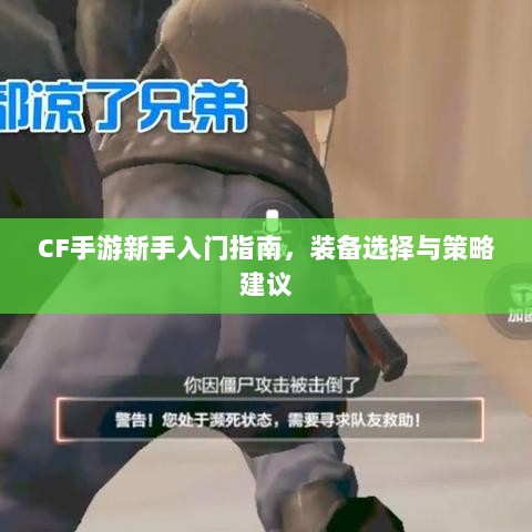 CF手游新手入门指南，装备选择与策略建议-图1
