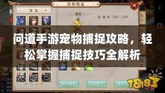 问道手游宠物捕捉攻略，轻松掌握捕捉技巧全解析-图1