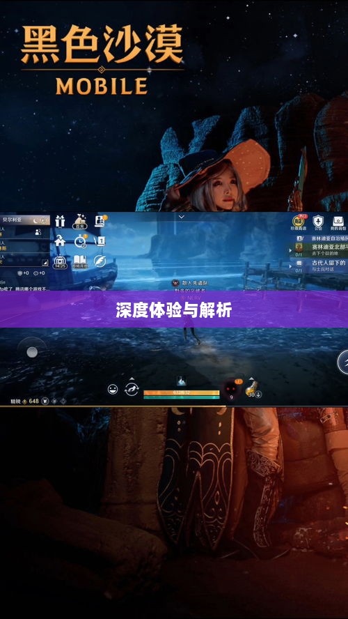 黑色沙漠手游，深度体验与全面解析-图1