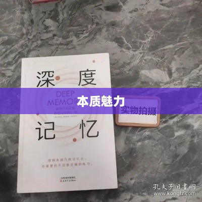 深灵笔记,手游还是其他?深度探究其本质魅力-图1 深灵笔记,手游还是其他?深度探究其本质魅力-图1